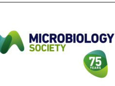 Why does Microbiology Matter? Why does Microbiology Matter?