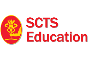 Why not a minimally invasive mitral programme?