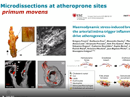 Writing ECI fellowships and grants Writing ECI fellowships and grants